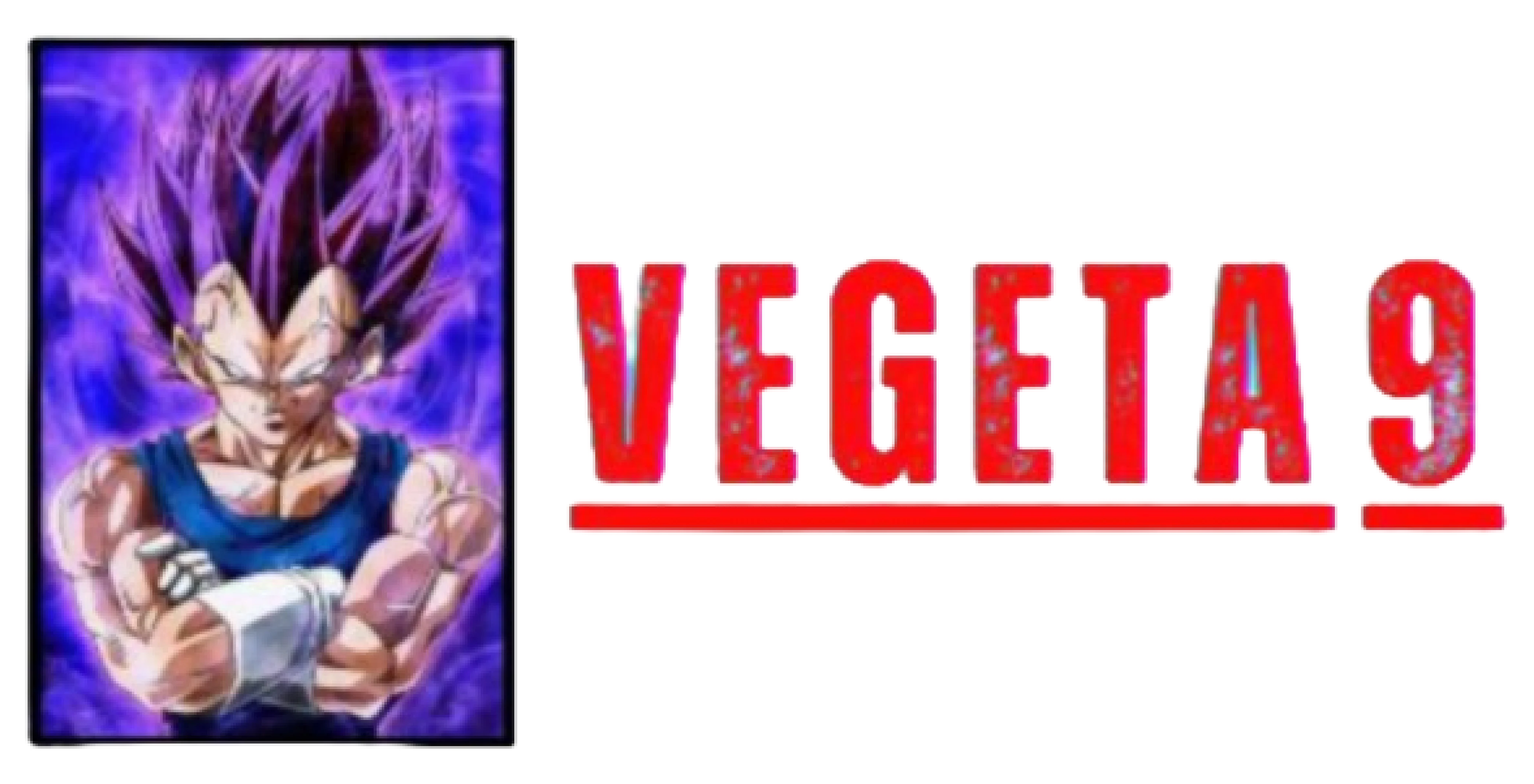 VEGETA9 logo